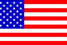 За што можеш да завршиш во затвор во САД