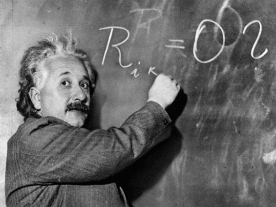 10 интелигентни животни лекции од Алберт Ајнштајн