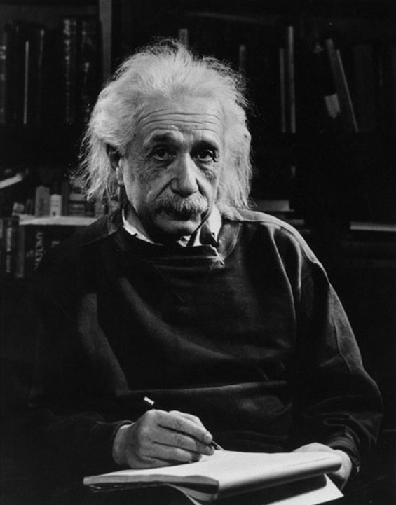 10 интелигентни животни лекции од Алберт Ајнштајн