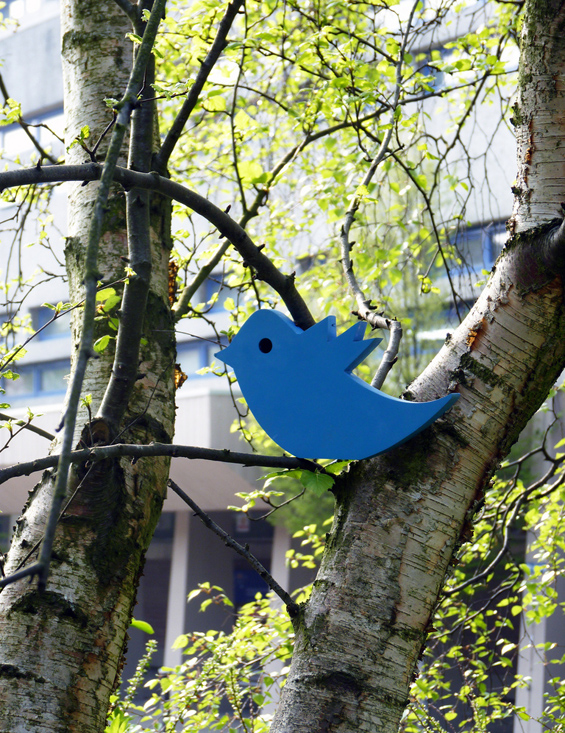 Клупа што „ве гледа“ додека твитате