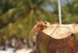 Кафе во кокосов орев