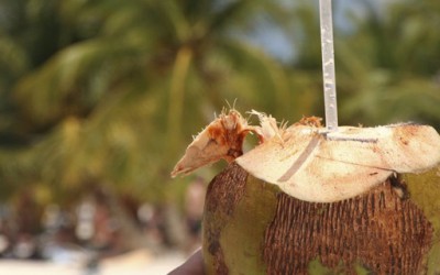 Кафе во кокосов орев