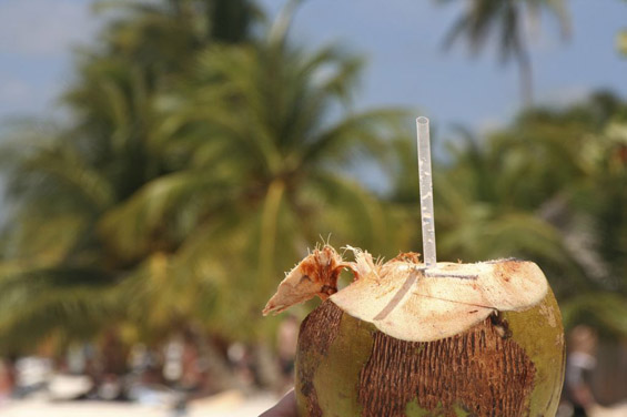 Кафе во кокосов орев