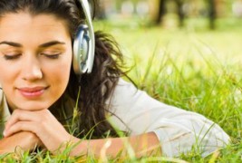 Запознајте го бикот одблизу