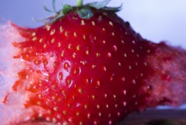 Предмети распрскани на милион парчиња