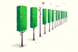 Илузии, надреализам и негативен простор