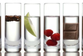 15 поинакви намени на вотката