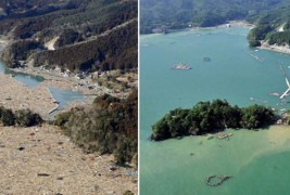 Јапонија после природните фотографии и денеска