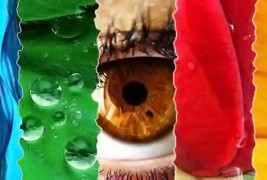 Значењето на боите околу нас