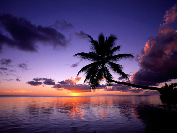 Рајските плажи на островот Муреа