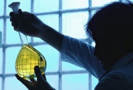 Каква работа не сакаат пребирливите?