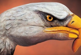 Човечки раце претворени во животни