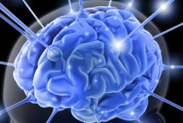 Како да ја усовршите способноста за помнење?