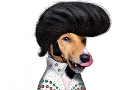 Миленичиња облечени како познатите фаци