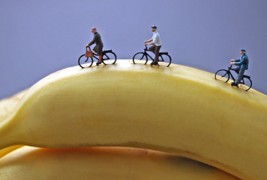 Минималистички волшепства