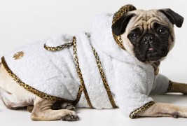 Тренди миленичиња