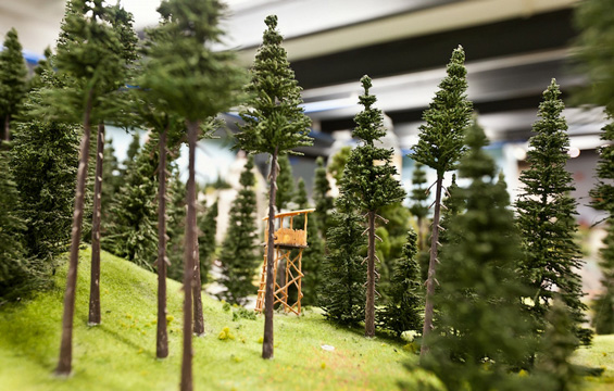 (12) Животот во еден минијатурен свет Животот во еден минијатурен свет