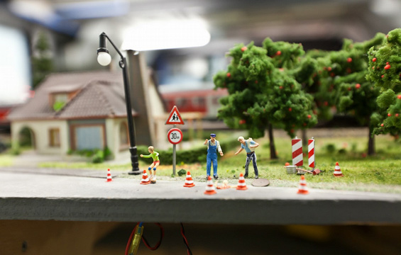 (13) Животот во еден минијатурен свет Животот во еден минијатурен свет