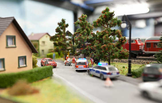 (14) Животот во еден минијатурен свет Животот во еден минијатурен свет