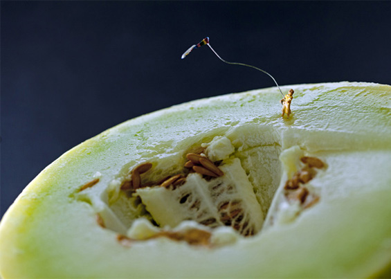 Минималистички волшепства