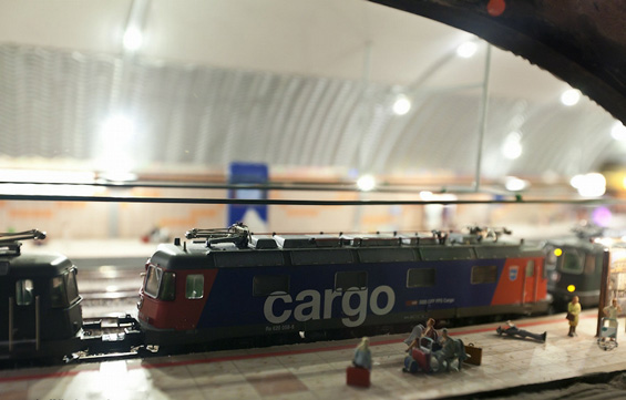 (15) Животот во еден минијатурен свет Животот во еден минијатурен свет