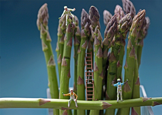 Минималистички волшепства