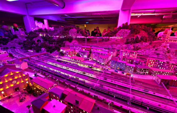 (16) Животот во еден минијатурен свет Животот во еден минијатурен свет