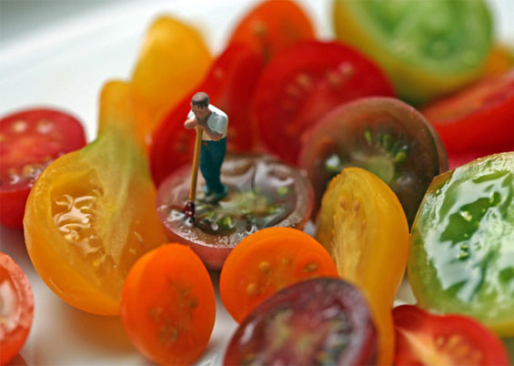 Минималистички волшепства