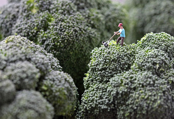 Минималистички волшепства