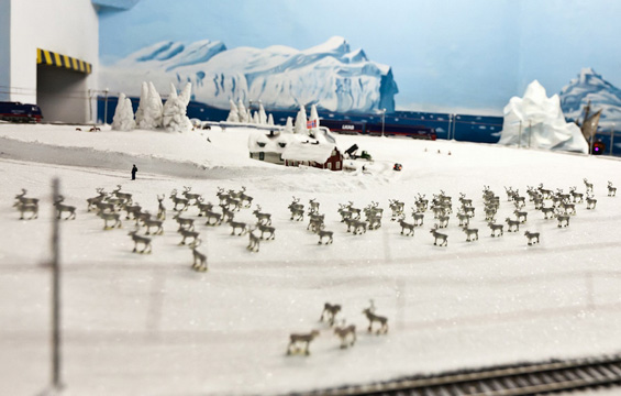 (4) Животот во еден минијатурен свет Животот во еден минијатурен свет