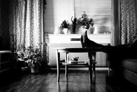 Различен филм за секој ден од неделата