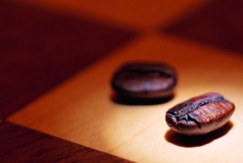 Кафе-позадина за вашиот десктоп #44