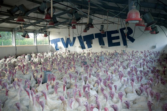 Познати брендови на чудни локации