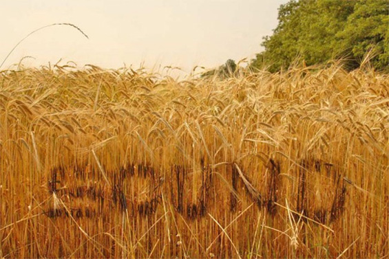 Познати брендови на чудни локации