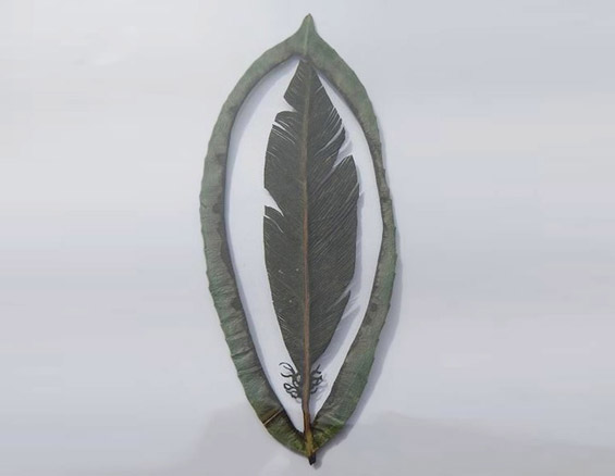 Ливчиња од дрвја кои раскажуваат приказни