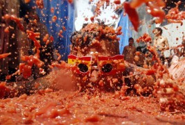 Борба со 120 тони домати