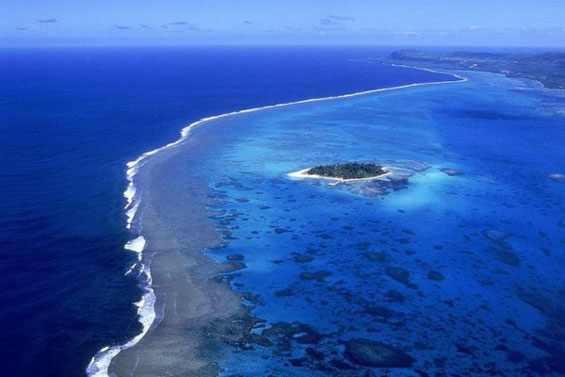 Неверојатниот морски свет во Големиот корален гребен