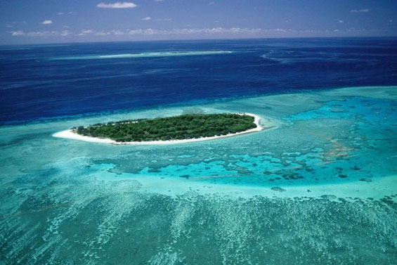 Неверојатниот морски свет во Големиот корален гребен