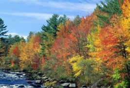 10 најубави есенски дестинации низ светот