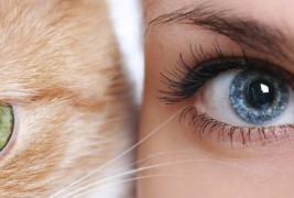 Астрологијата и вашето омилено милениче