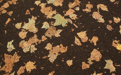 Тепих од паднати есенски лисја
