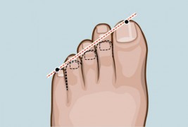 Водич за читање од стапала