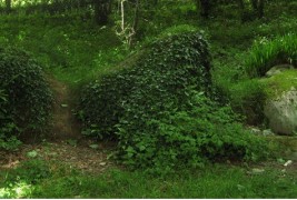 Загубените ботанички градини