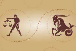 Вага и јарец – пријателска комбинација