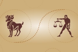 vaga-i-oven-prijatelska-kombinacija