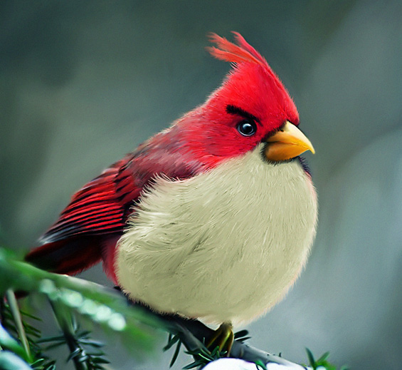 Кога „Angry birds“ би биле вистински птици...