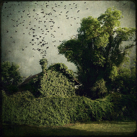 Неверојатни фото манипулации