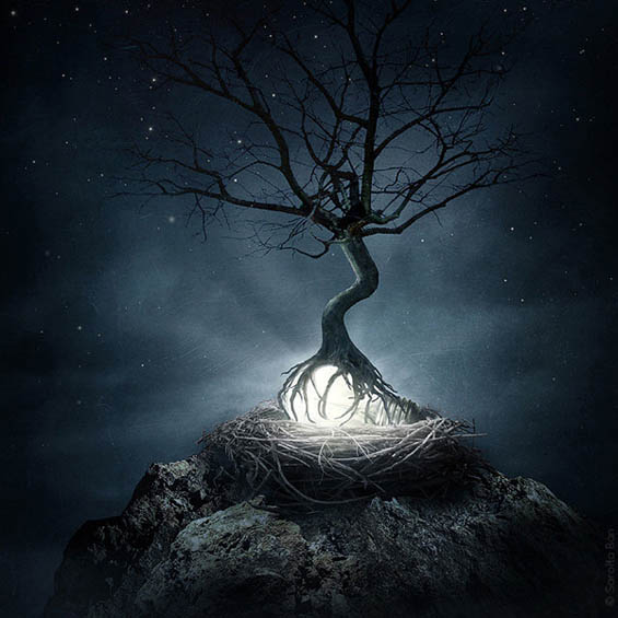 Неверојатни фото манипулации