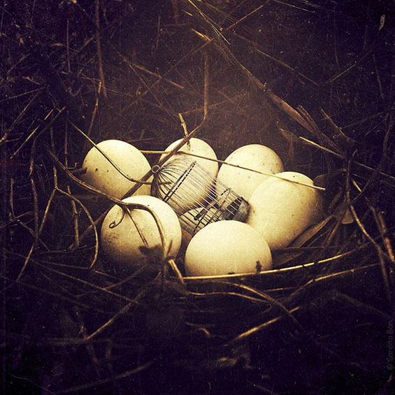 Неверојатни фото манипулации