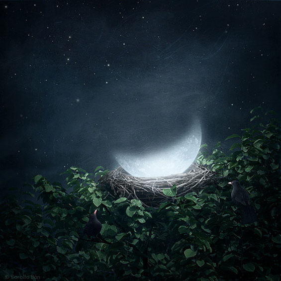 Неверојатни фото манипулации